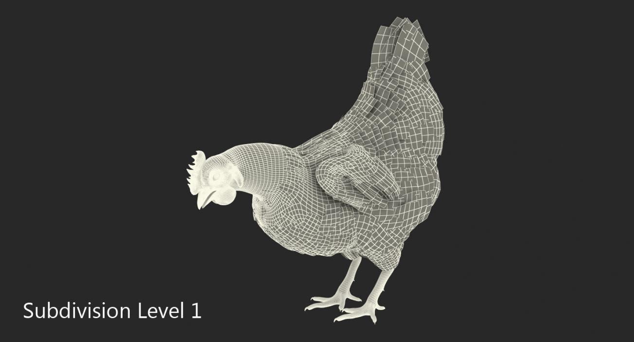 3D model Brown Chicken Eating