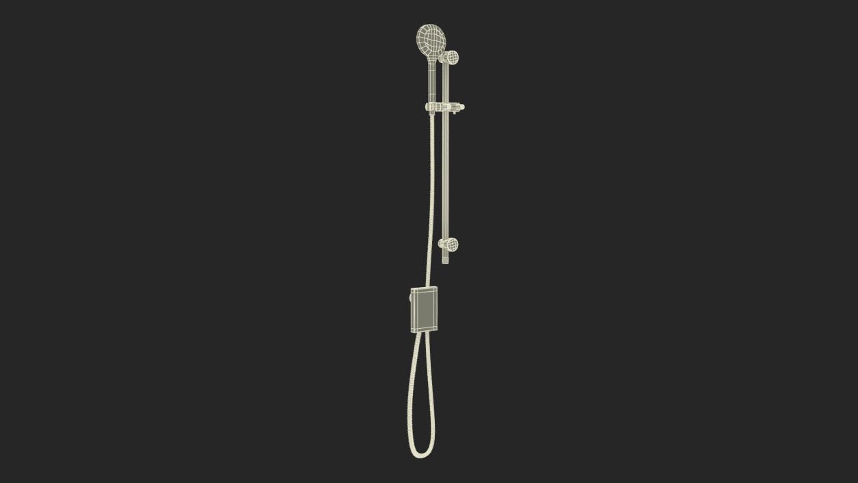 Wall Mount Hand Shower Silver 3D model