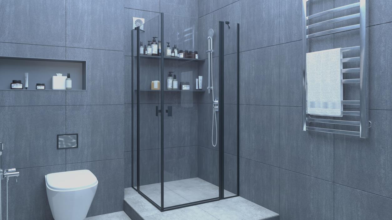 Wall Mount Hand Shower Silver 3D model