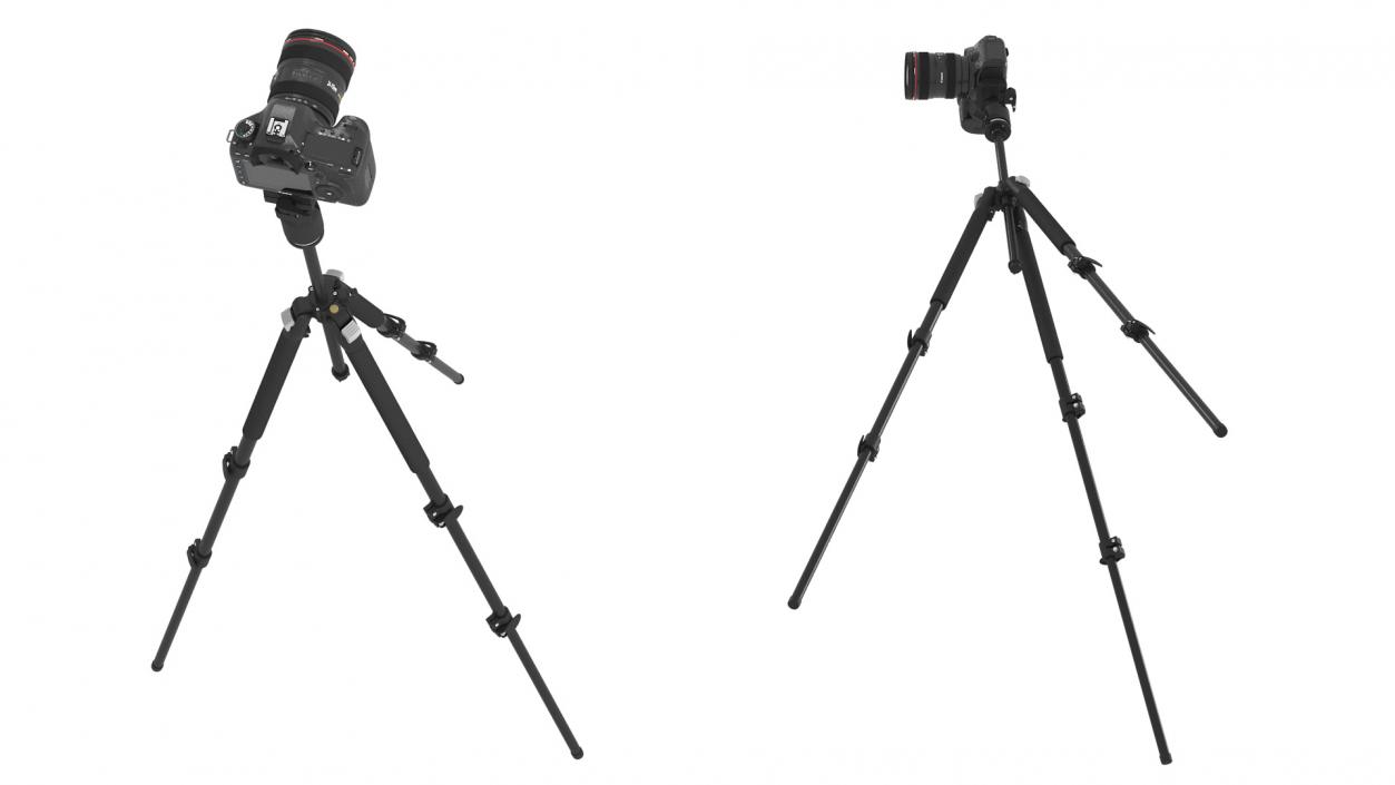 Canon Camera EOS 5D on Tripod 3D model