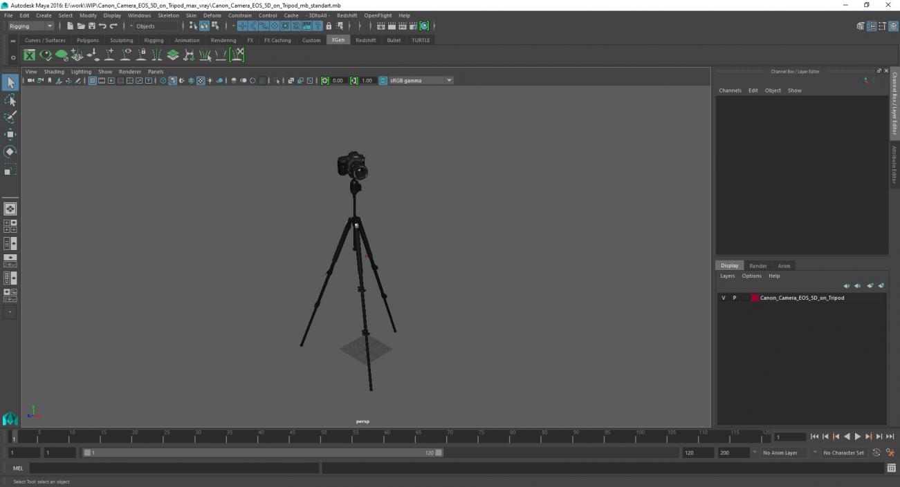 Canon Camera EOS 5D on Tripod 3D model