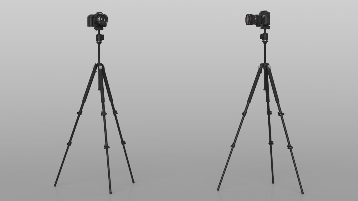 Canon Camera EOS 5D on Tripod 3D model