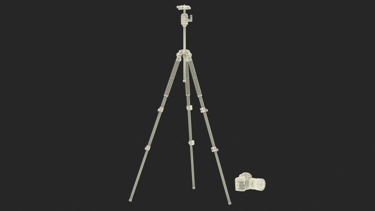 Canon Camera EOS 5D on Tripod 3D model