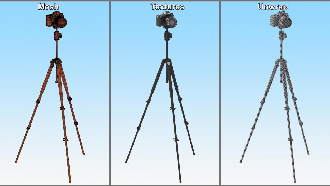 Canon Camera EOS 5D on Tripod 3D model