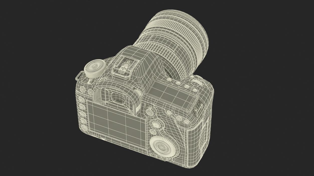 Canon Camera EOS 5D on Tripod 3D model