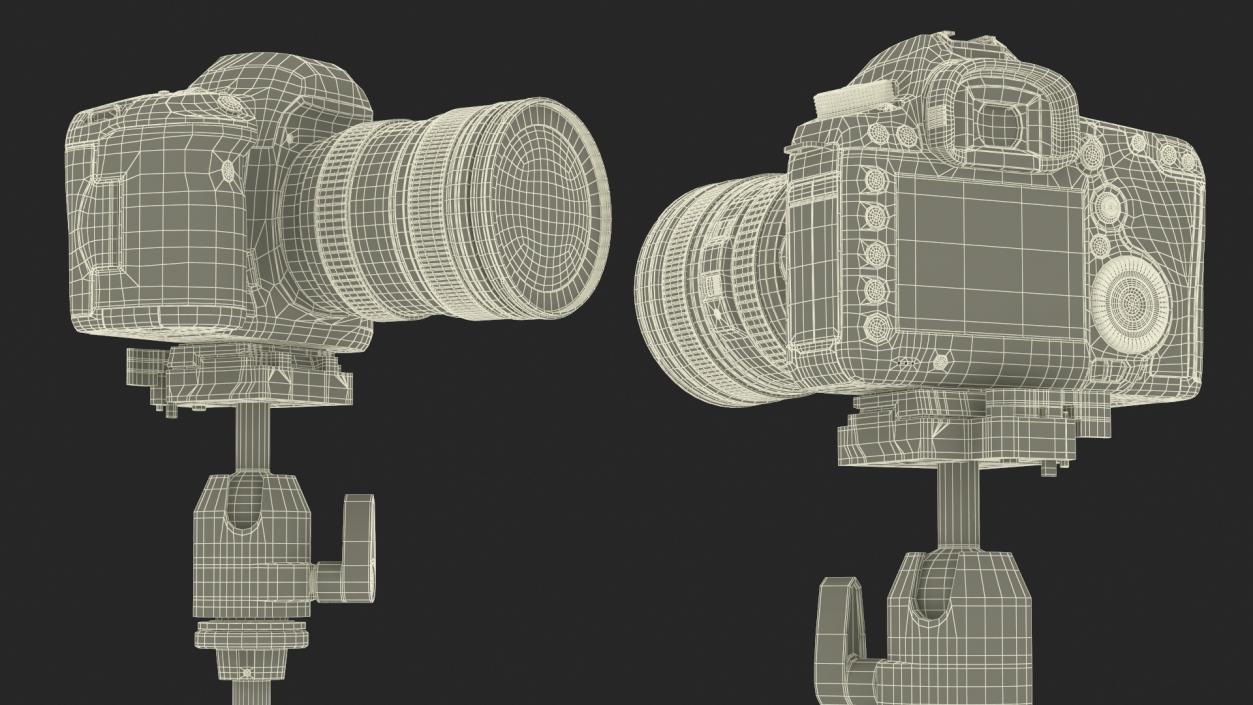 Canon Camera EOS 5D on Tripod 3D model