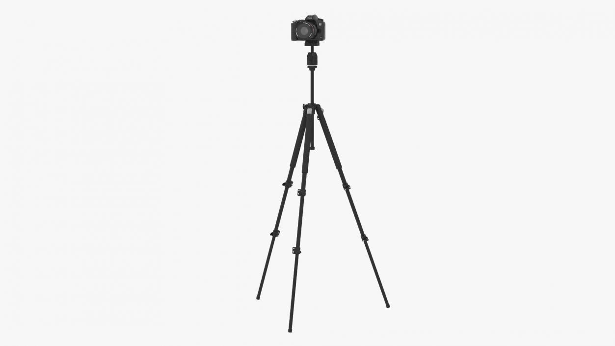 Canon Camera EOS 5D on Tripod 3D model