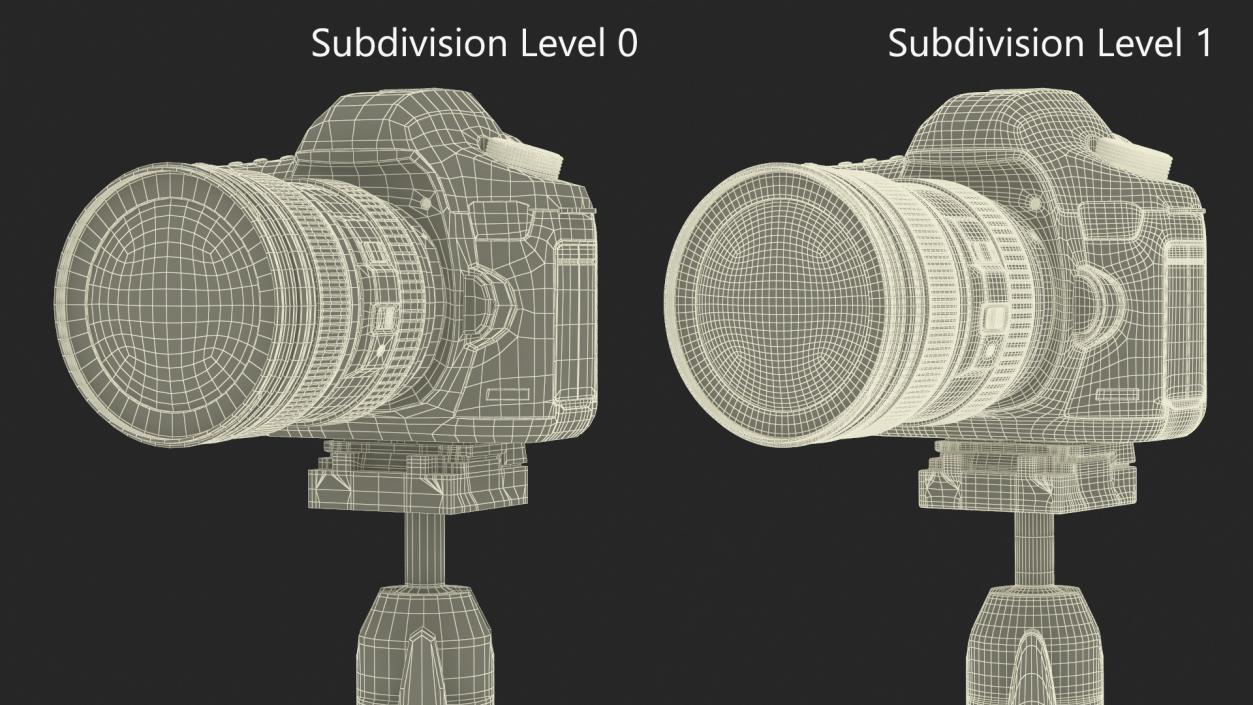 Canon Camera EOS 5D on Tripod 3D model