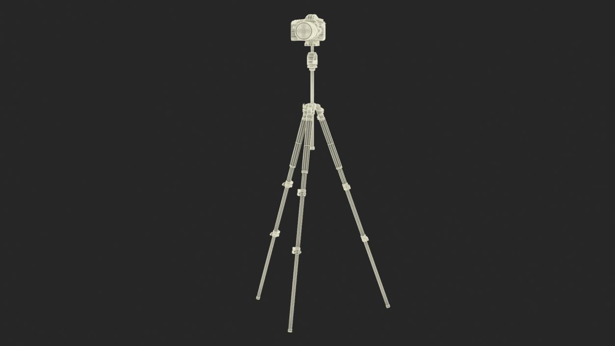 Canon Camera EOS 5D on Tripod 3D model