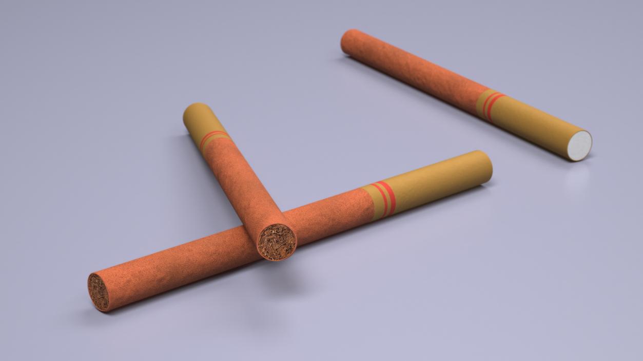 Little Cigar 2 3D model