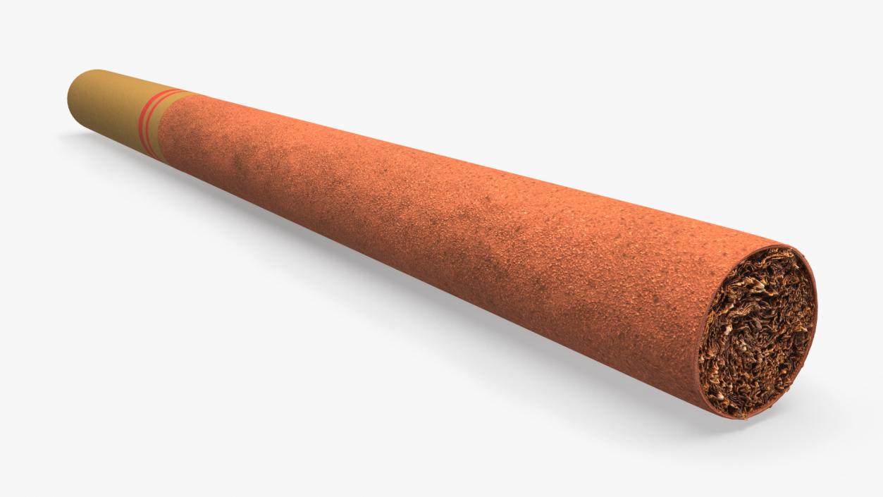 Little Cigar 2 3D model