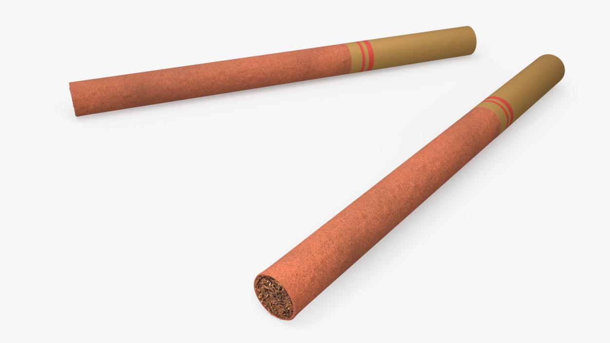 Little Cigar 2 3D model