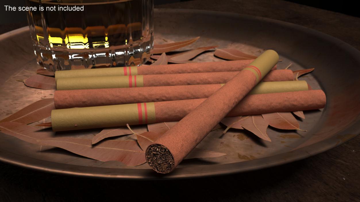 Little Cigar 2 3D model