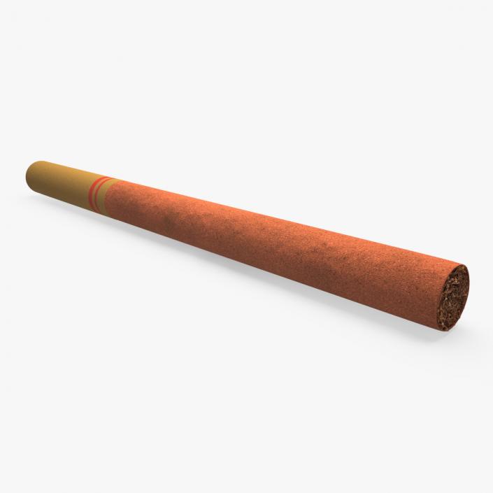 Little Cigar 2 3D model