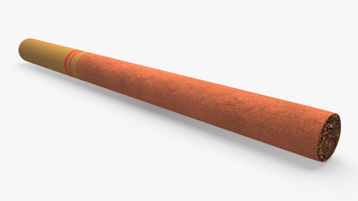 Little Cigar 2 3D model