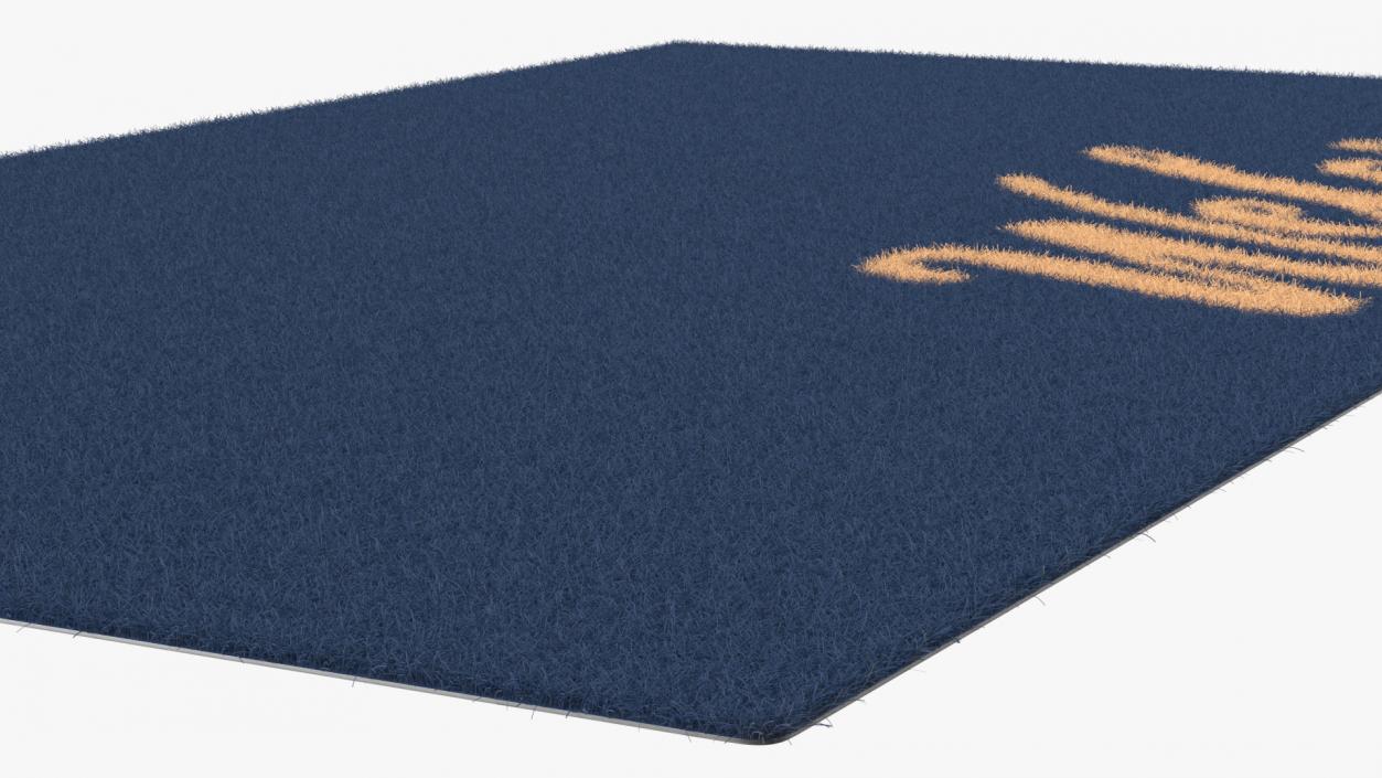 3D Dirt-Repellent Blue Door Mats Fur model