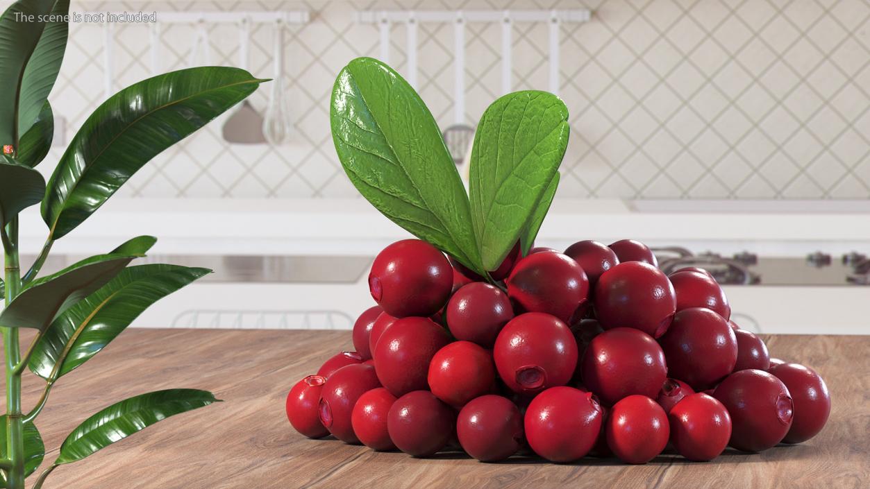 Bunch of Cranberries with Leaves 3D