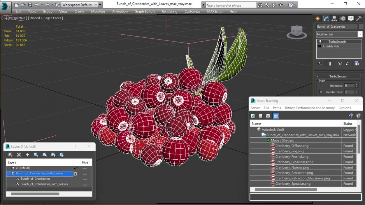 Bunch of Cranberries with Leaves 3D