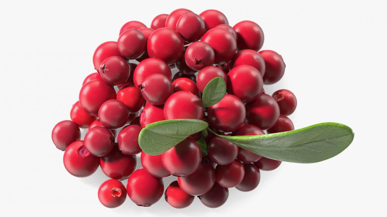 Bunch of Cranberries with Leaves 3D