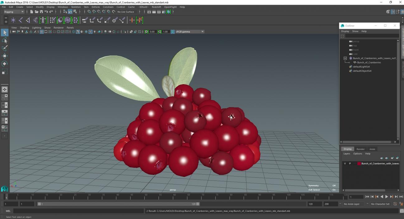 Bunch of Cranberries with Leaves 3D