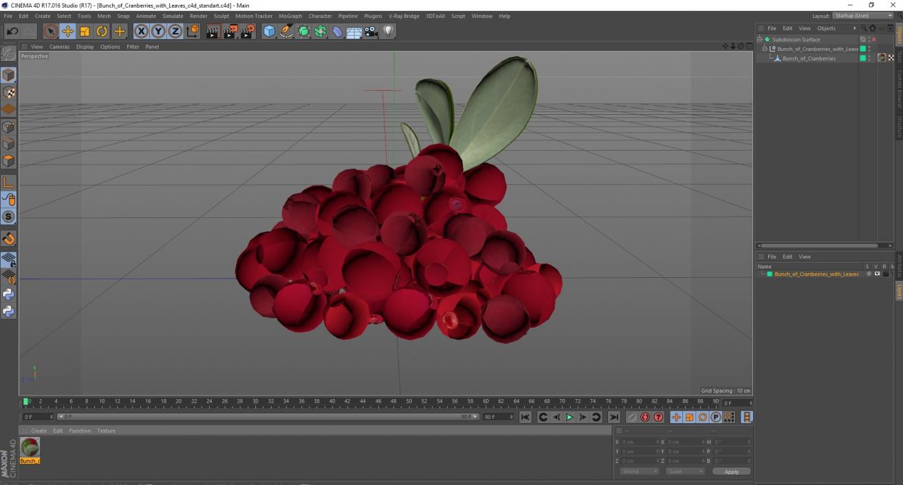 Bunch of Cranberries with Leaves 3D