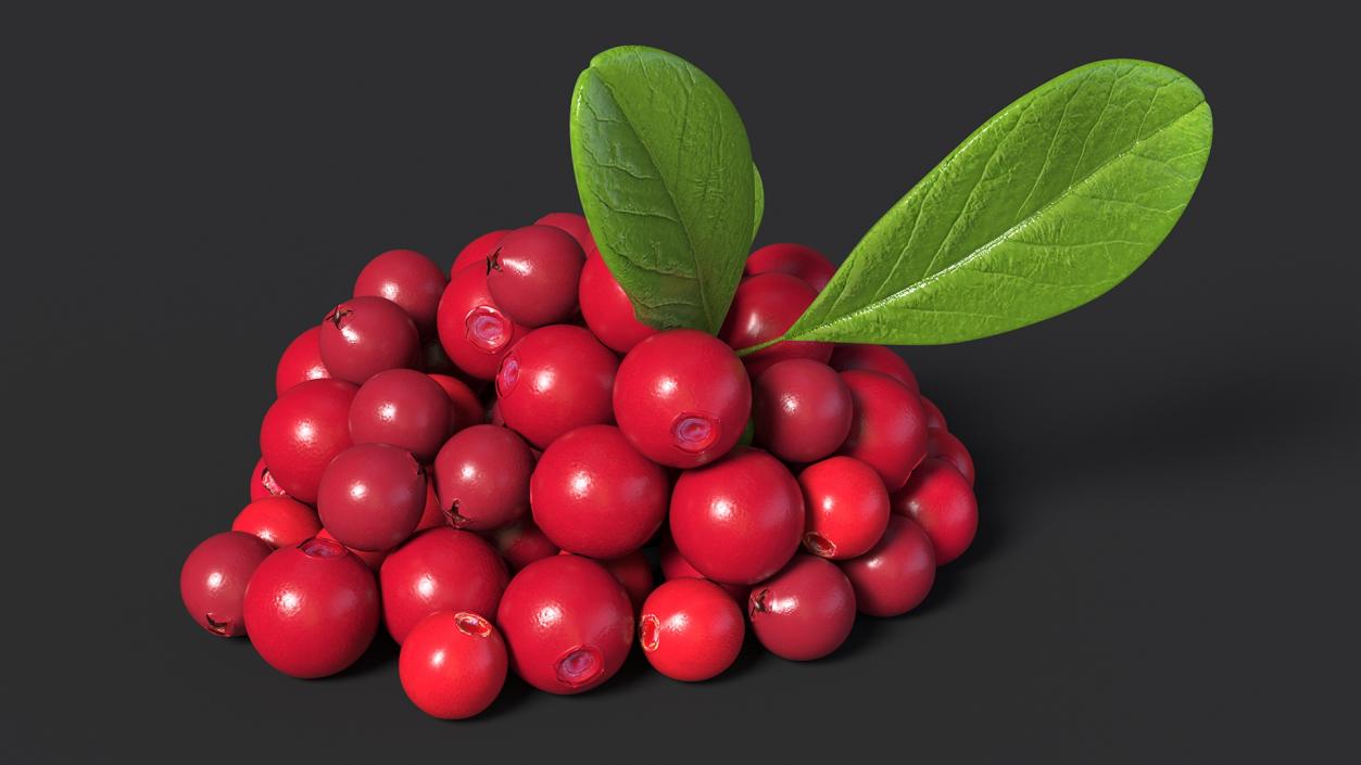 Bunch of Cranberries with Leaves 3D