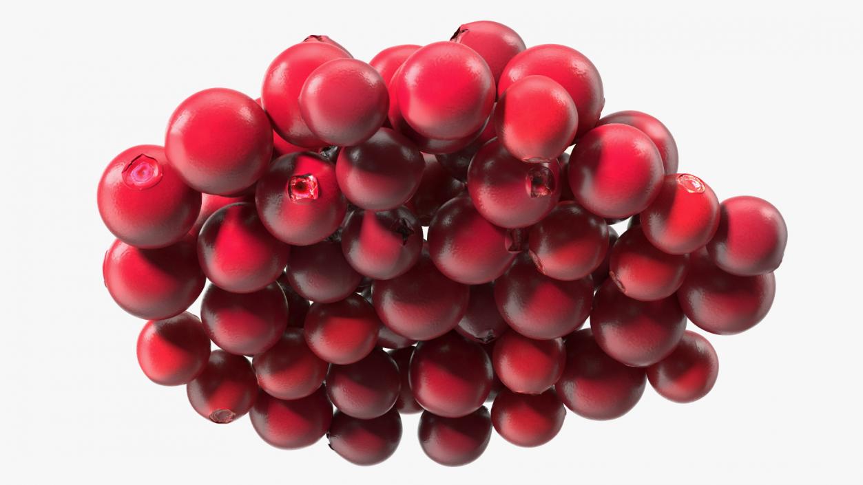 Bunch of Cranberries with Leaves 3D