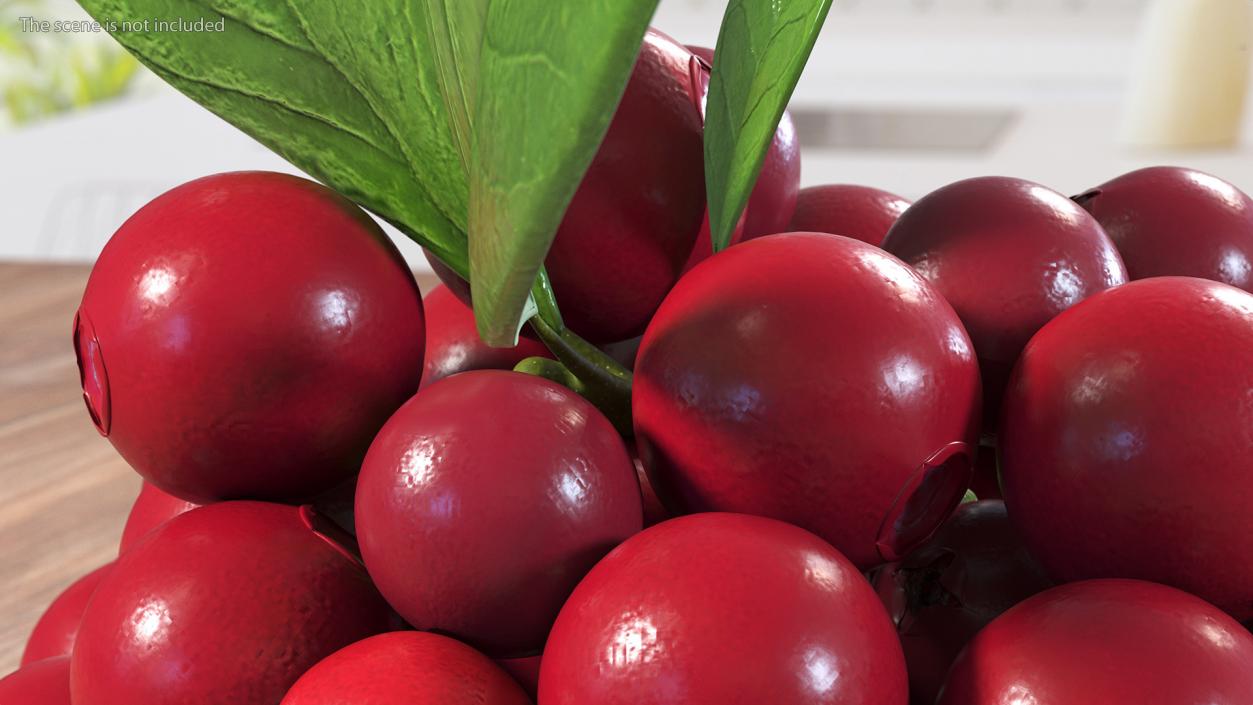 Bunch of Cranberries with Leaves 3D