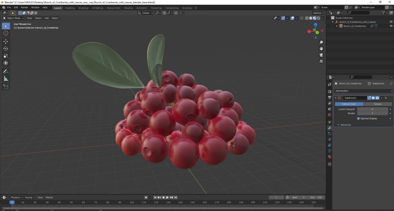 Bunch of Cranberries with Leaves 3D