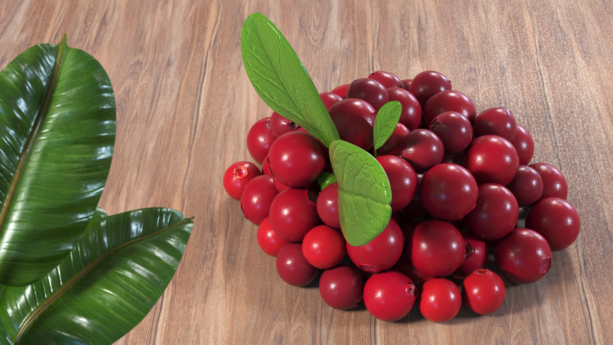 Bunch of Cranberries with Leaves 3D