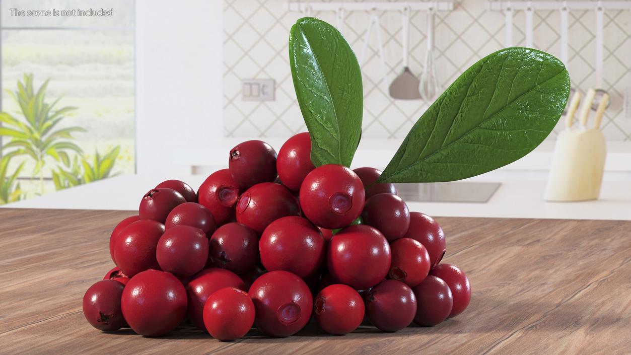 Bunch of Cranberries with Leaves 3D