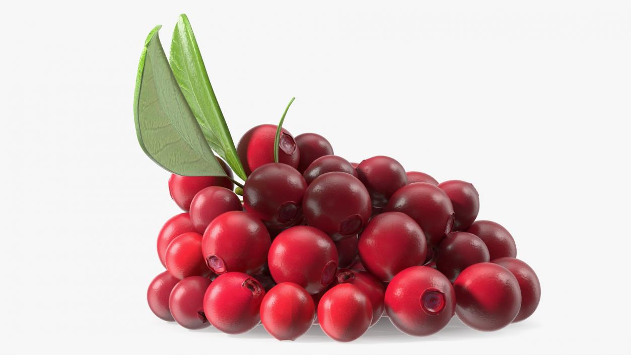 Bunch of Cranberries with Leaves 3D