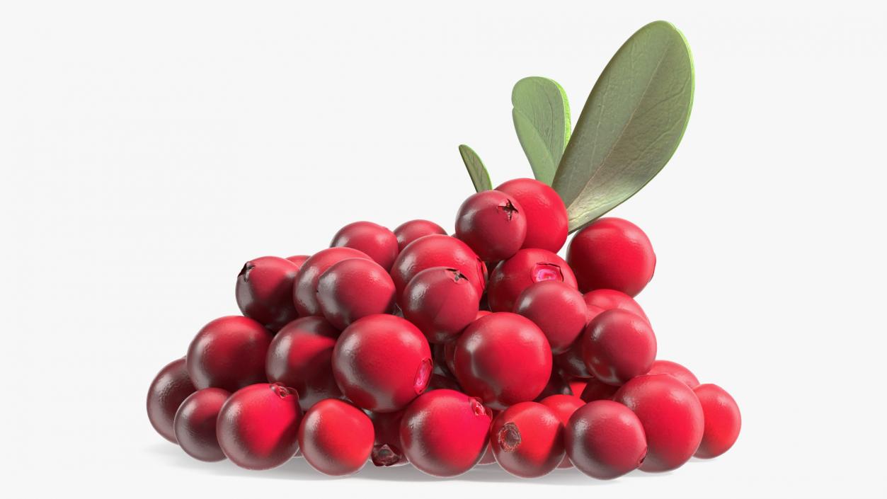 Bunch of Cranberries with Leaves 3D