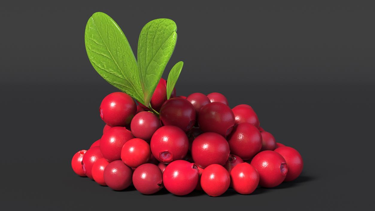 Bunch of Cranberries with Leaves 3D