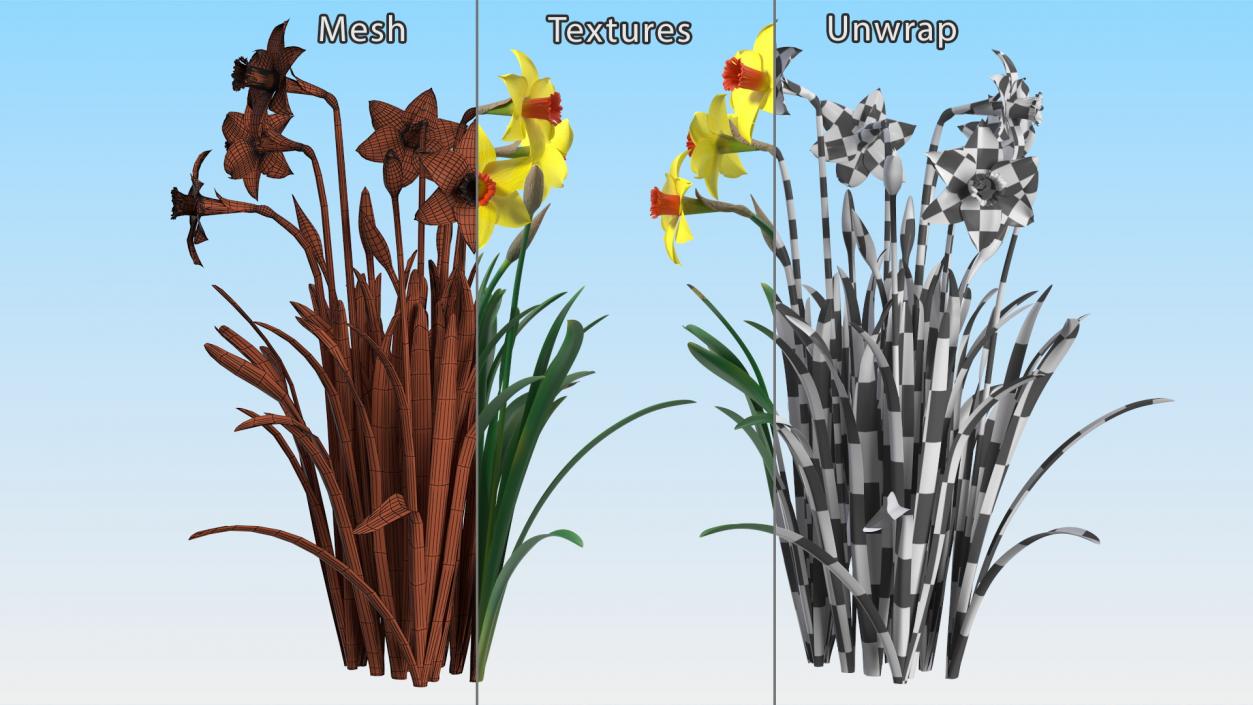 Yellow Flowering Plants Collection 3D model