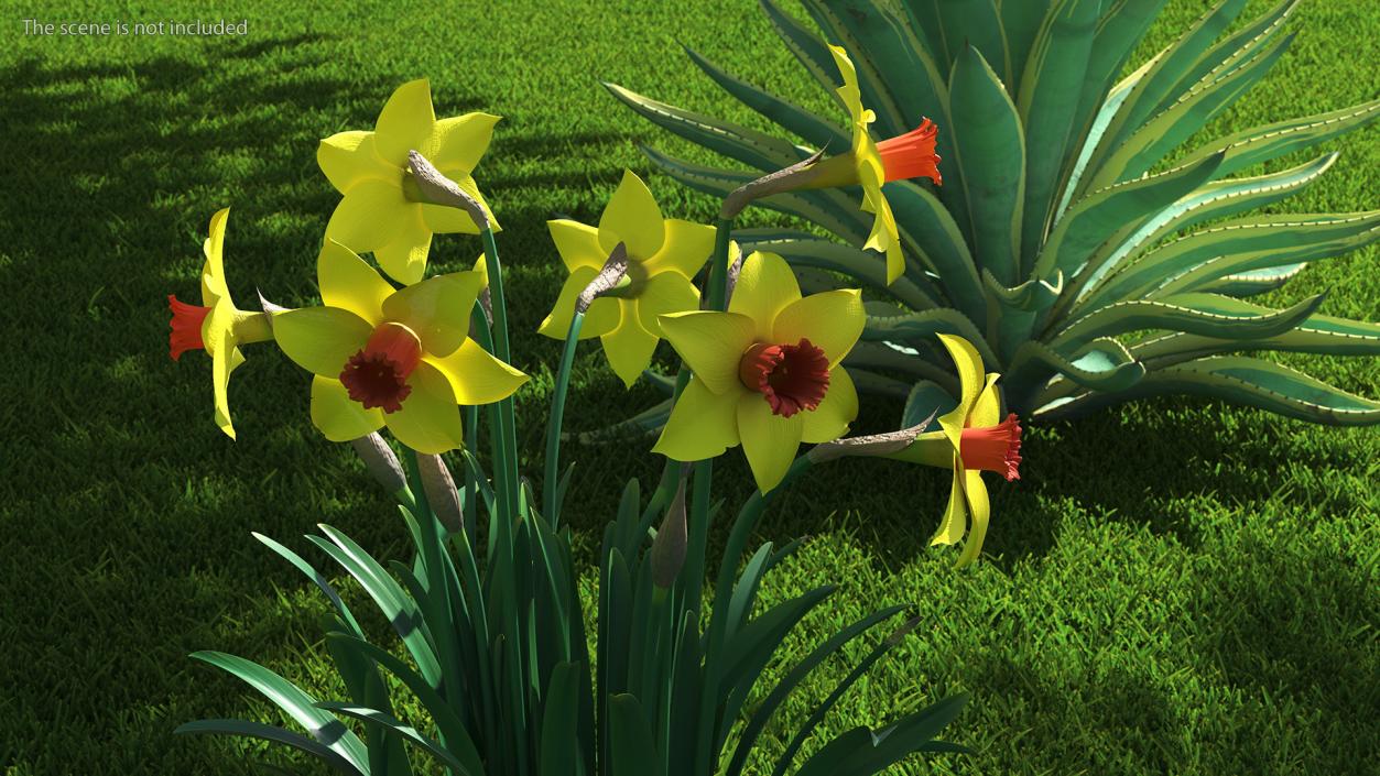 Yellow Flowering Plants Collection 3D model