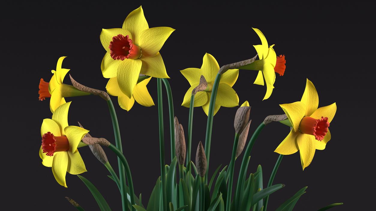 Yellow Flowering Plants Collection 3D model