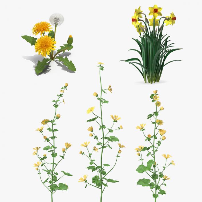 Yellow Flowering Plants Collection 3D model