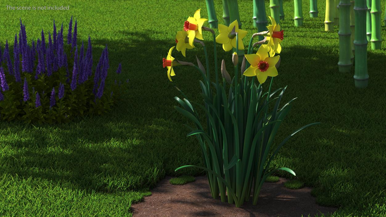 Yellow Flowering Plants Collection 3D model