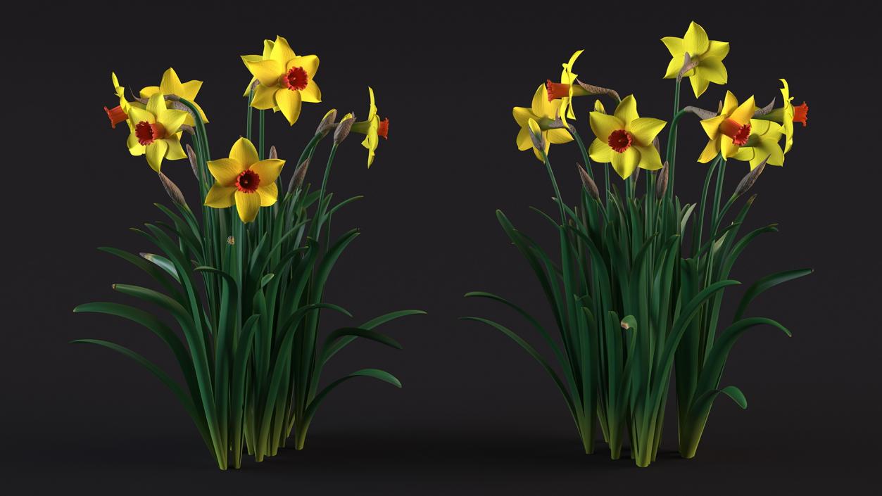 Yellow Flowering Plants Collection 3D model