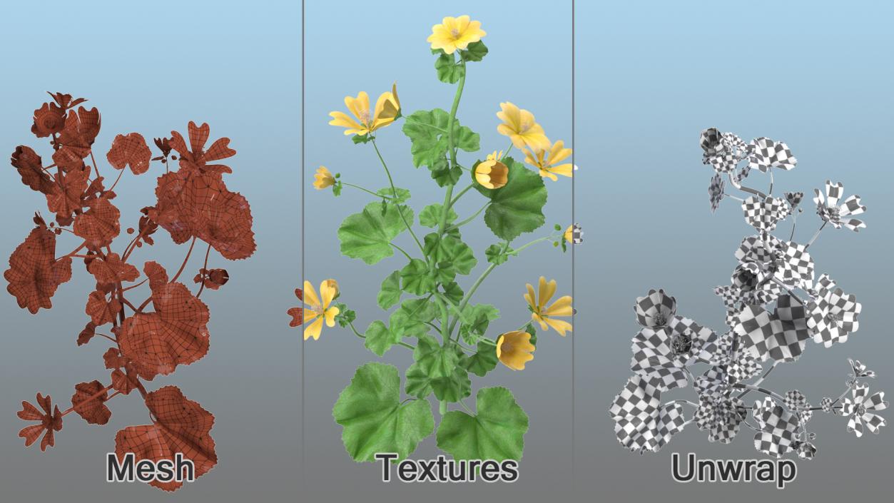 Yellow Flowering Plants Collection 3D model