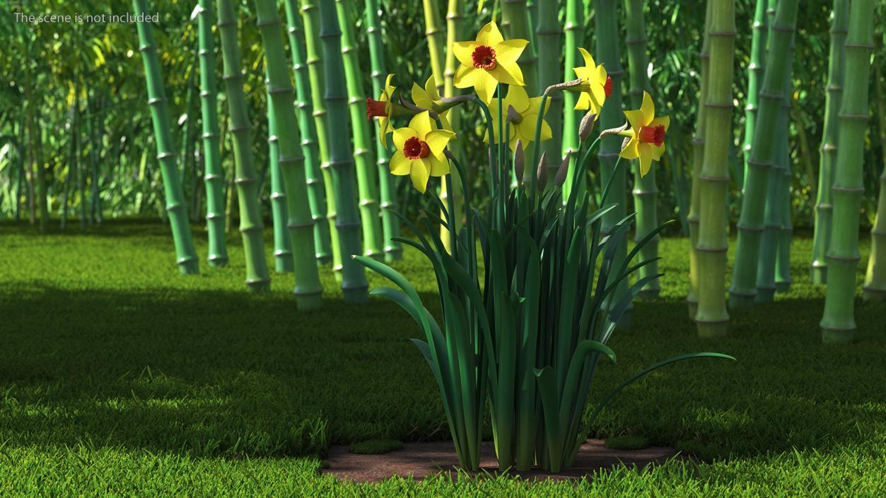 Yellow Flowering Plants Collection 3D model