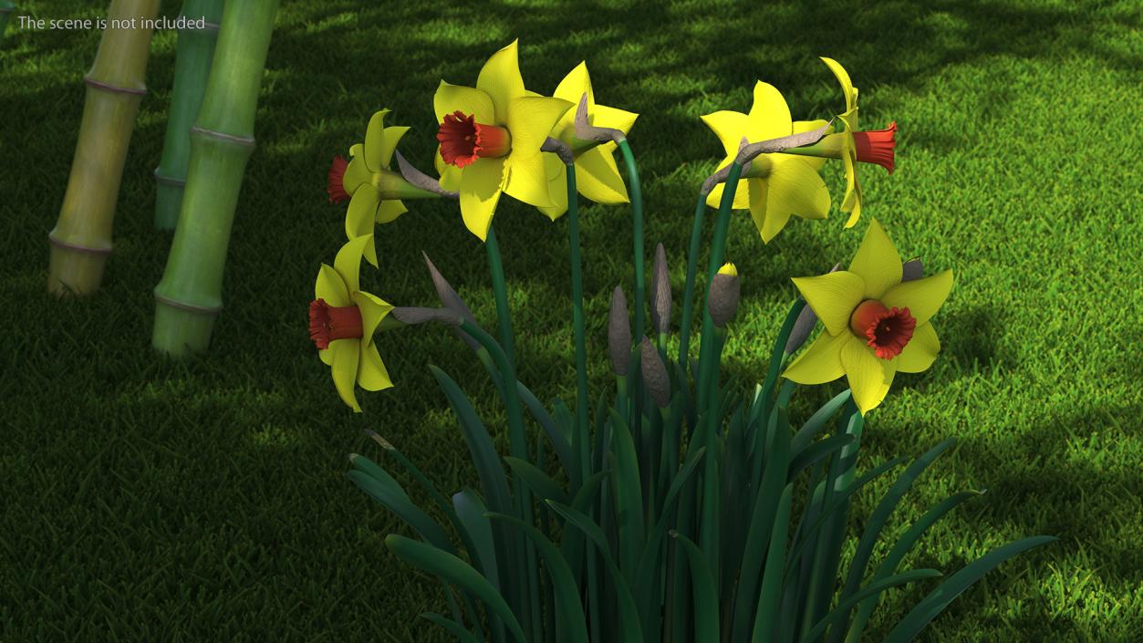 Yellow Flowering Plants Collection 3D model