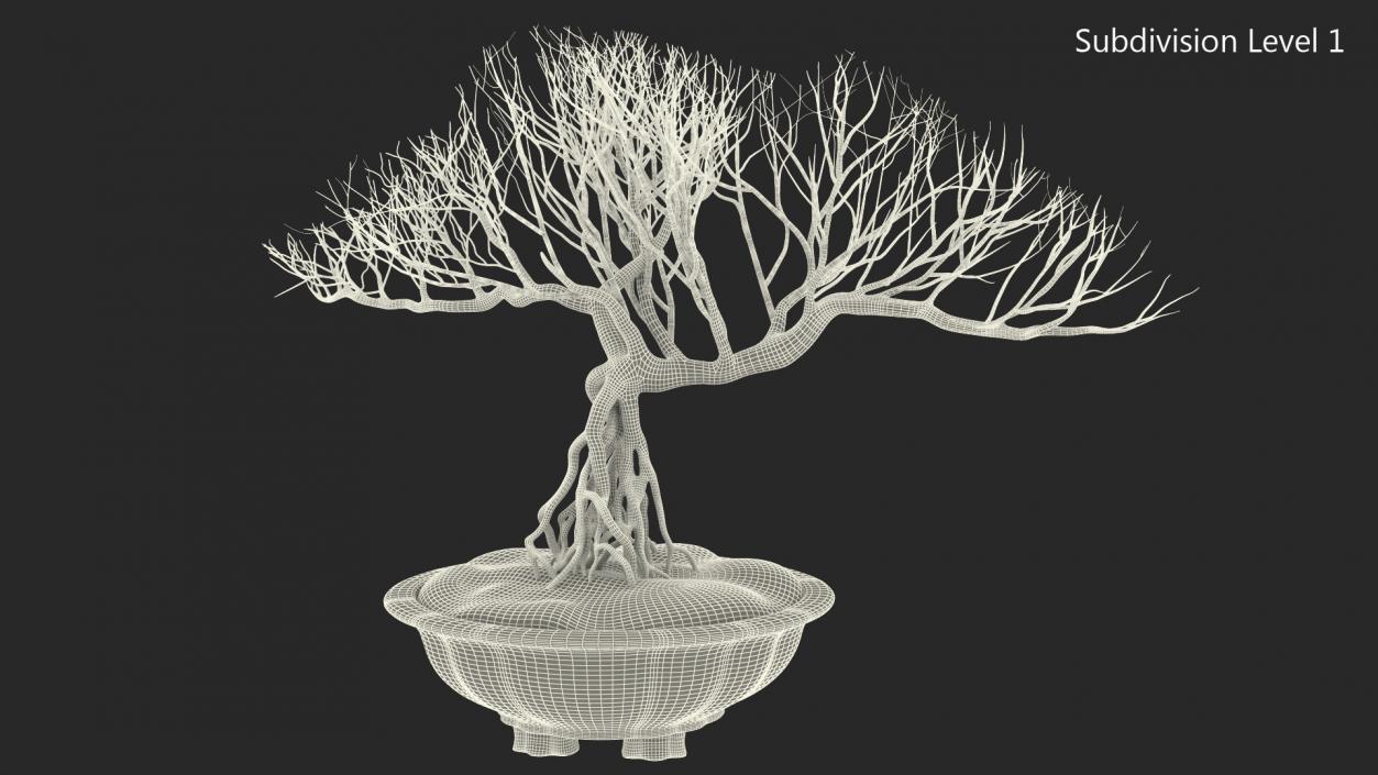 3D Bonsai Naked Tree in Pot Fur model