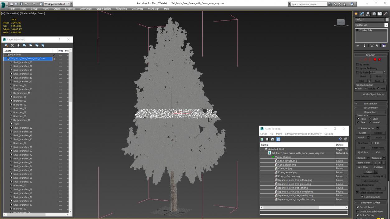 Tall Larch Tree Green with Cones 3D