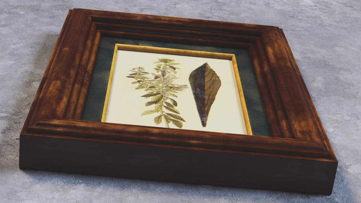 3D Picture Frame Dark Wood with Gold model