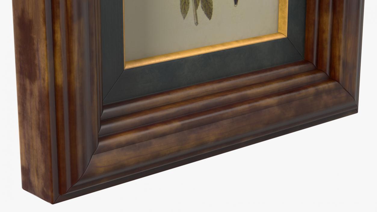 3D Picture Frame Dark Wood with Gold model