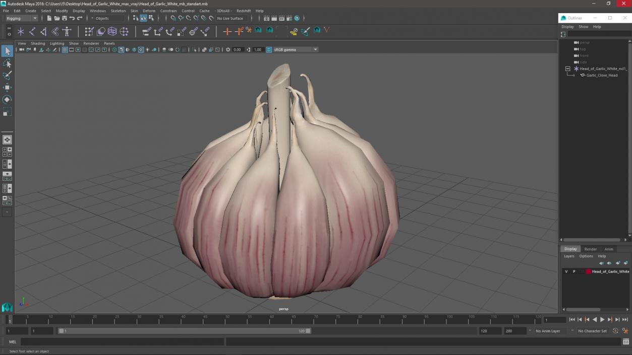 3D model Head of Garlic White