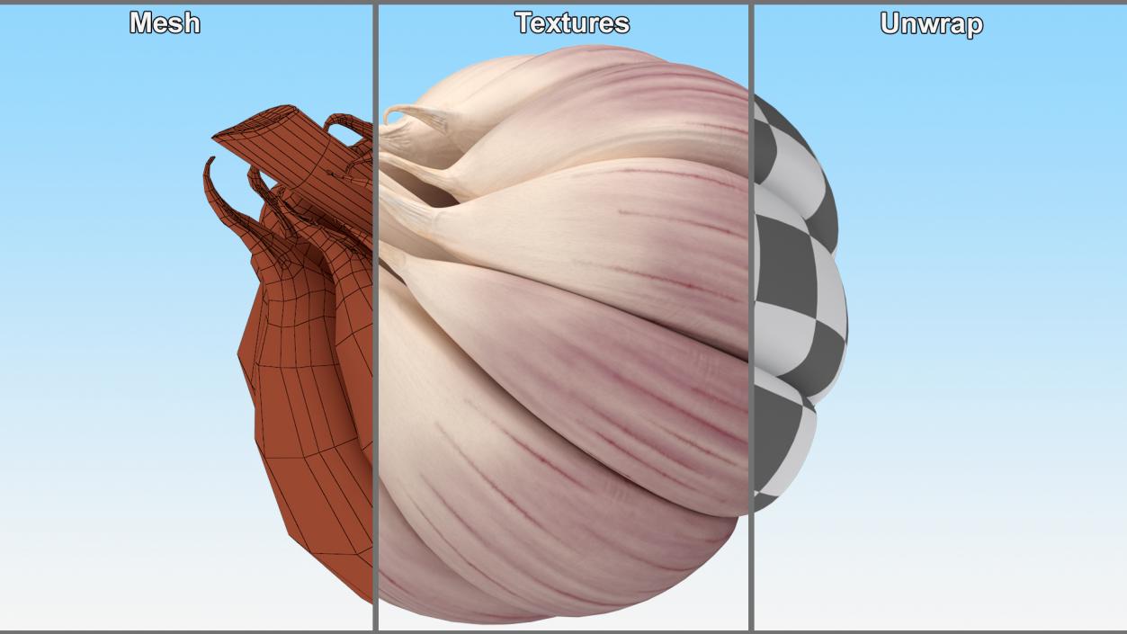 3D model Head of Garlic White