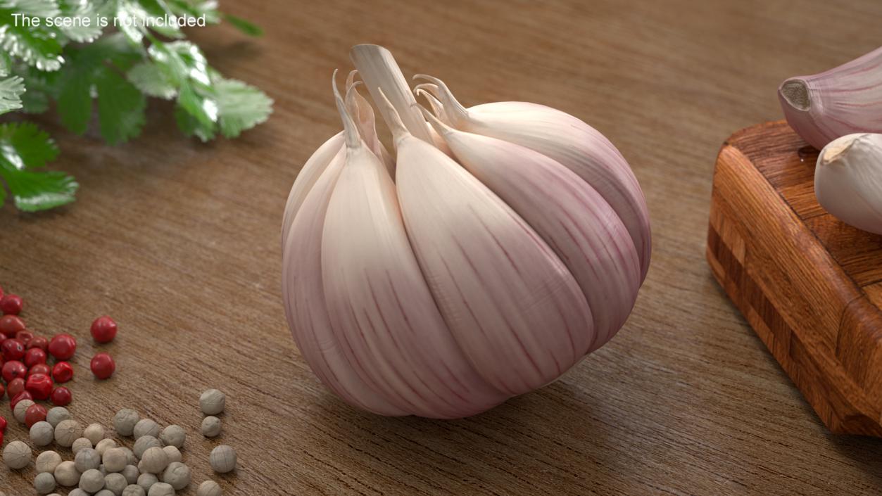 3D model Head of Garlic White